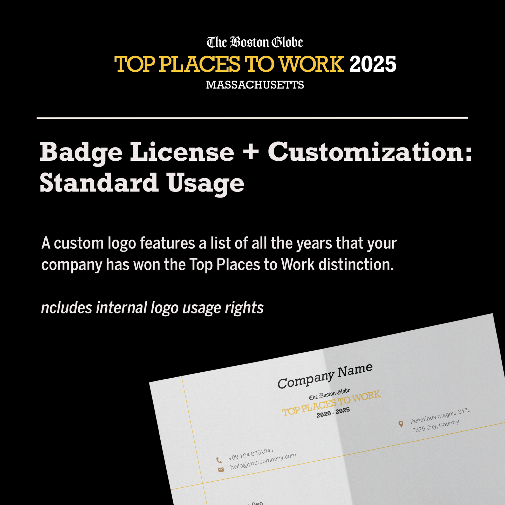 Badge License + Customization: Standard Usage